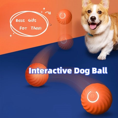 Pet Dog Smart Rubber Ball Toys